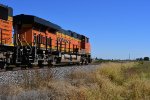 BNSF 6719 Roster shot